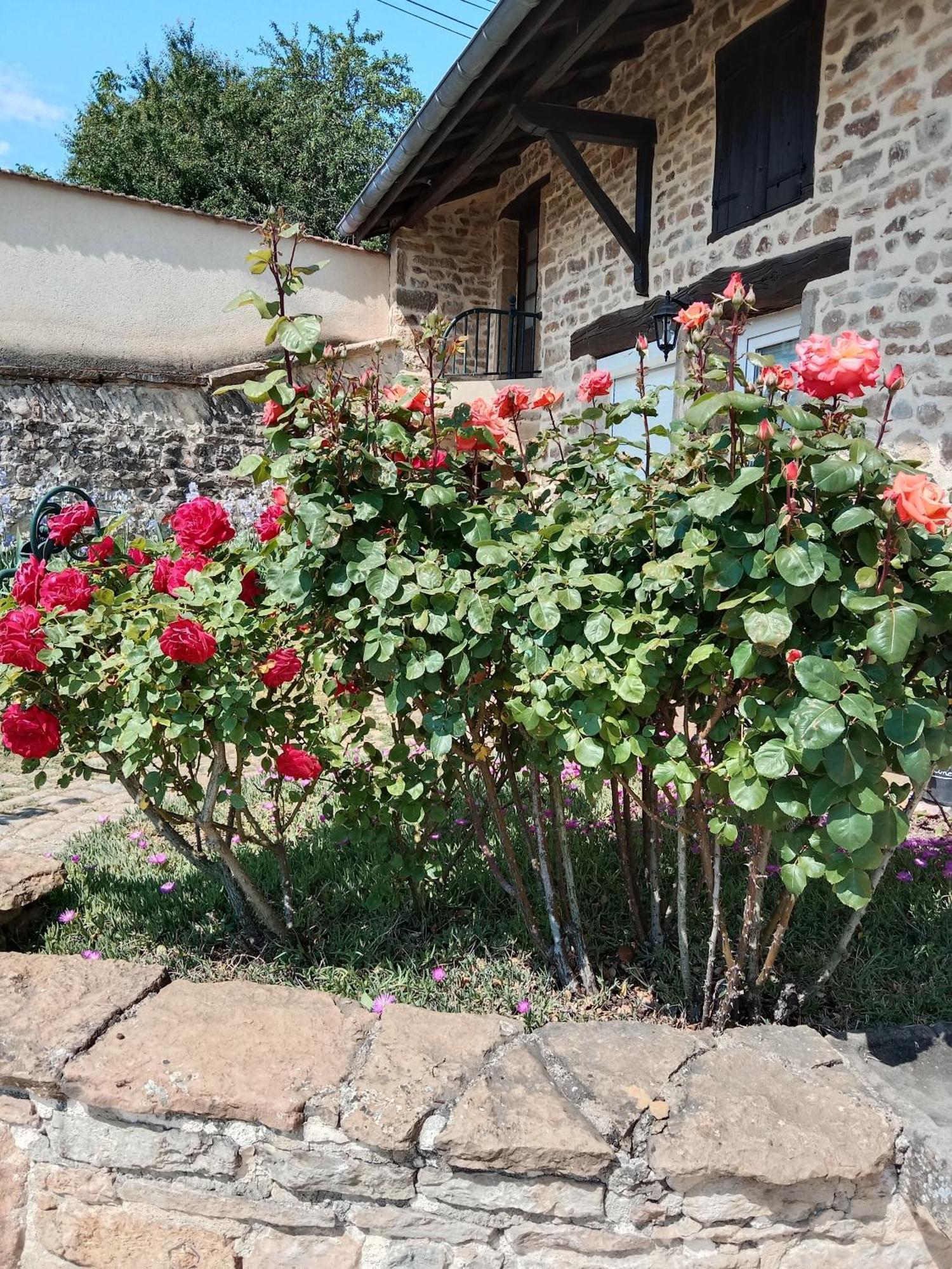 Chateau  L Olivier De St Leger Bed & Breakfast エクステリア 写真